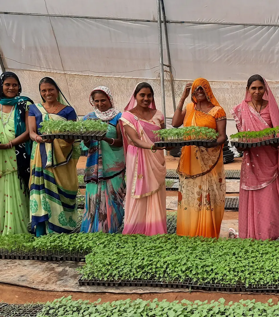 Farmer led nursery